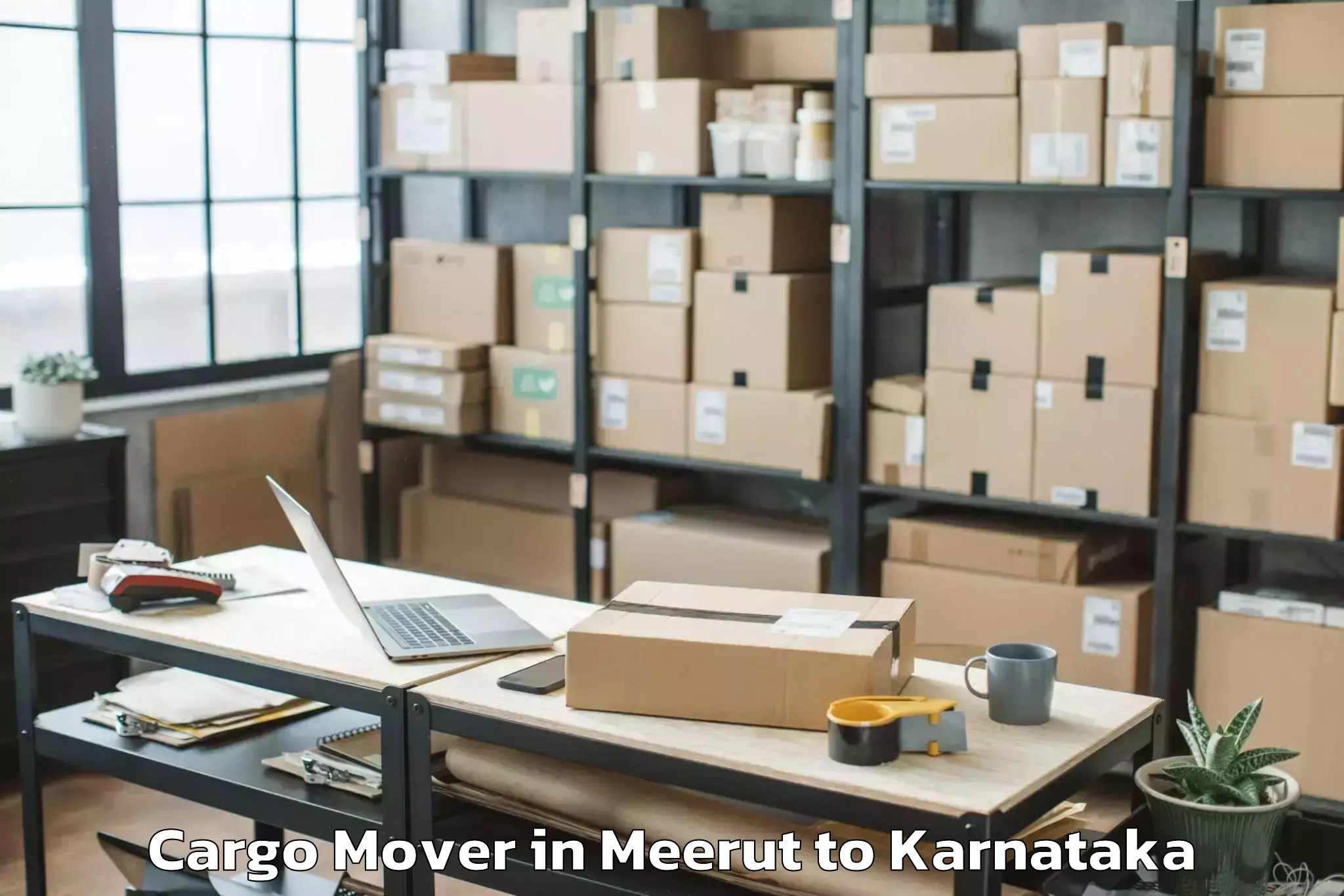 Book Meerut to Holalkere Cargo Mover Online